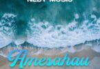 Nedy Music - Amesahau