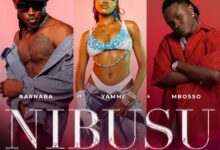 Barnaba Ft. Yammi & Mbosso - Nibusu Remix