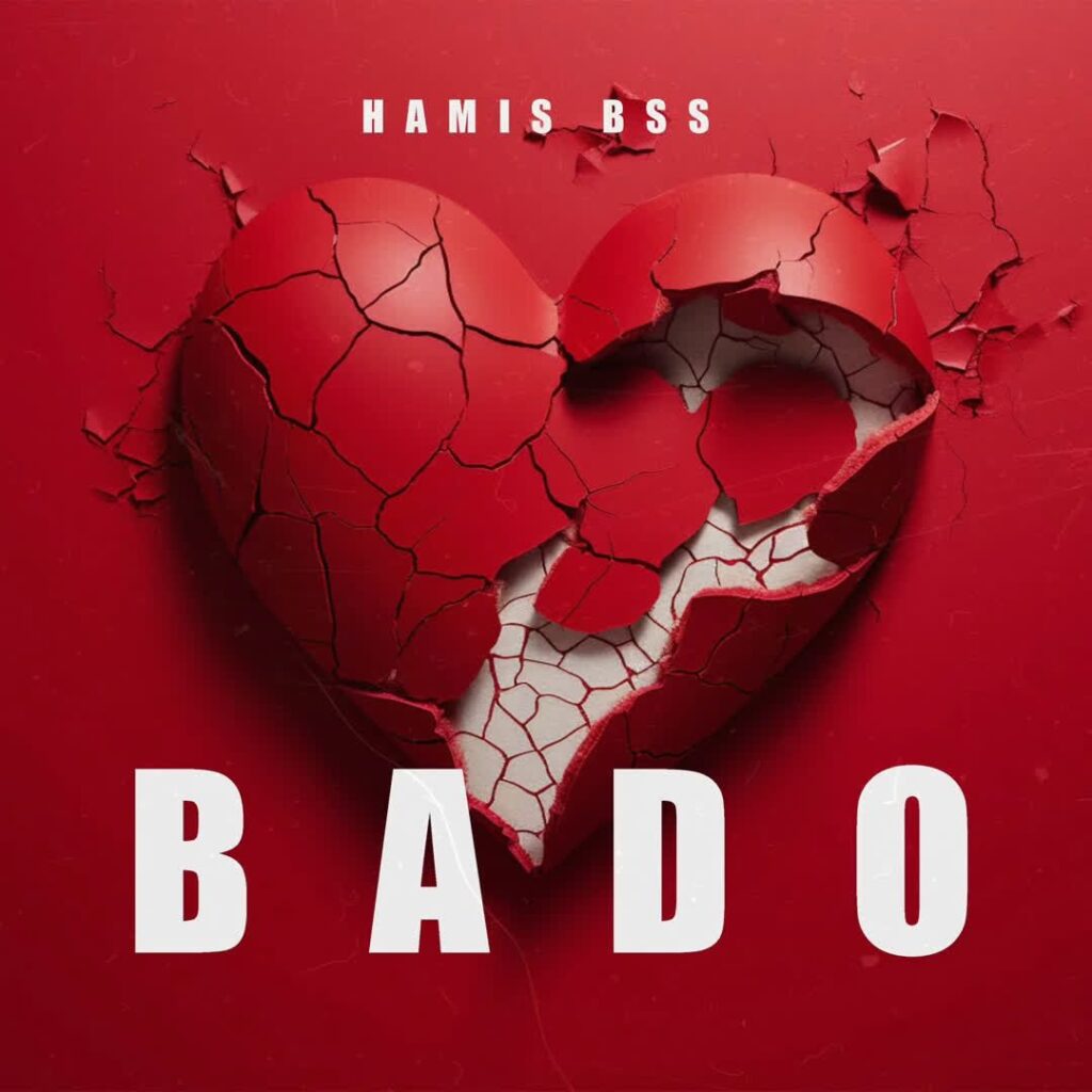 Hamis Bss - Bado