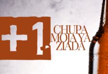 Dizasta Vina - Chupa moja ya ziada