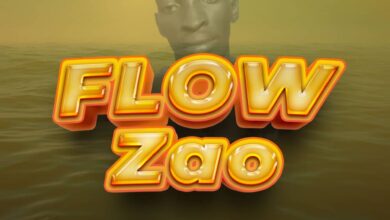 EDO MC - FLOW ZAO