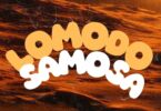 Lomodo - Samosa