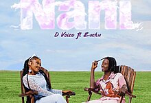 D Voice Ft. Zuchu - Nani