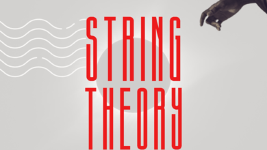 Dizasta Vina Ft. Trubadour - String Theory