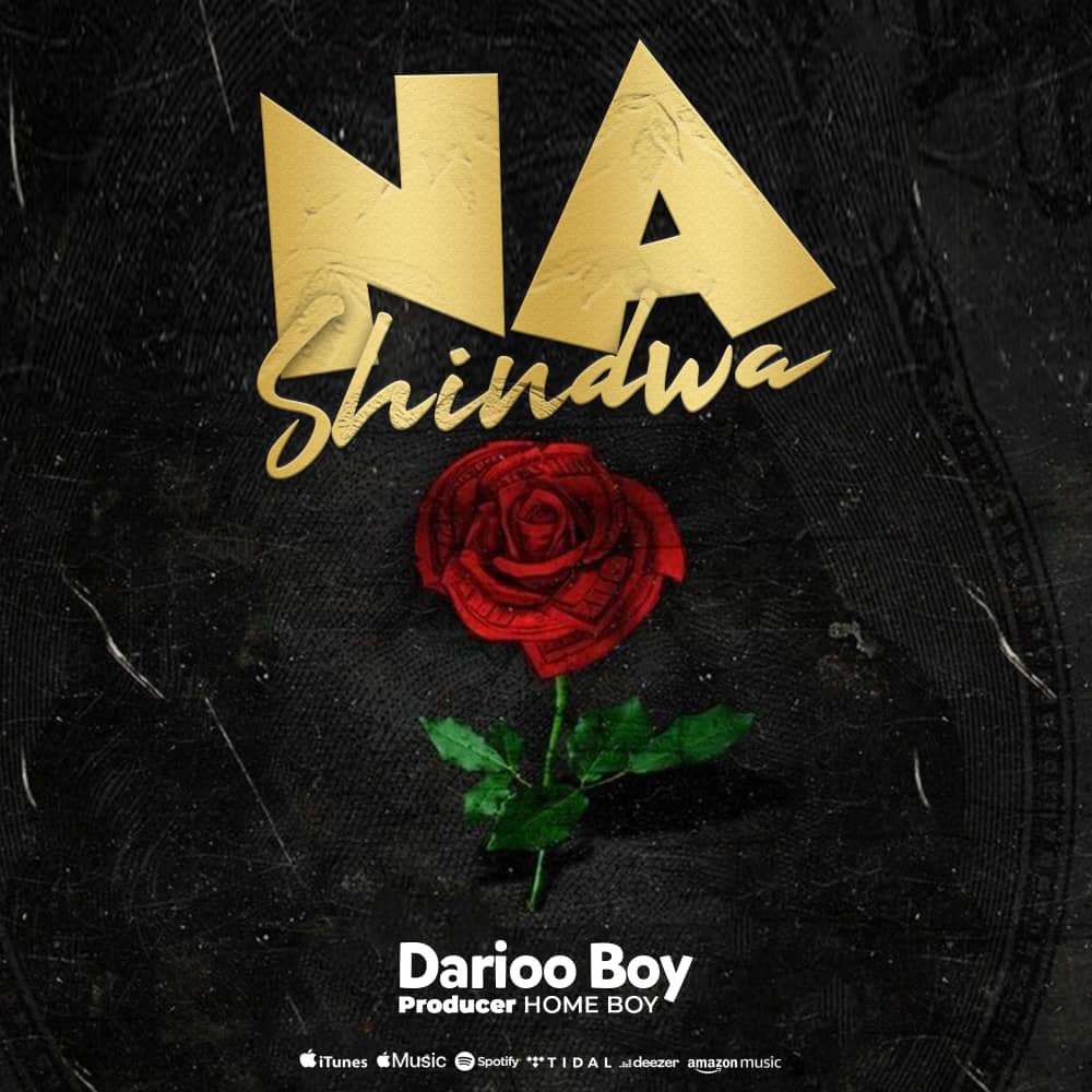 Darioo Boy - Nimeshindwa.