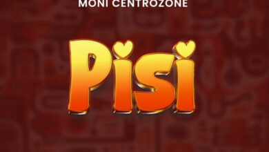 Moni Centrozone - Pisi