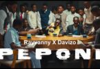 Rayvanny Ft Dj Davizo - Peponi