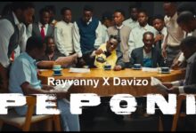 Rayvanny Ft Dj Davizo - Peponi