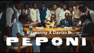 Rayvanny Ft Dj Davizo - Peponi