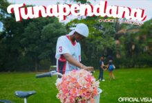 D Voice Ft. Mbosso - Tunapendana (Visualizer)