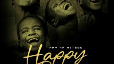 Nay Wa Mitego - Happy Day