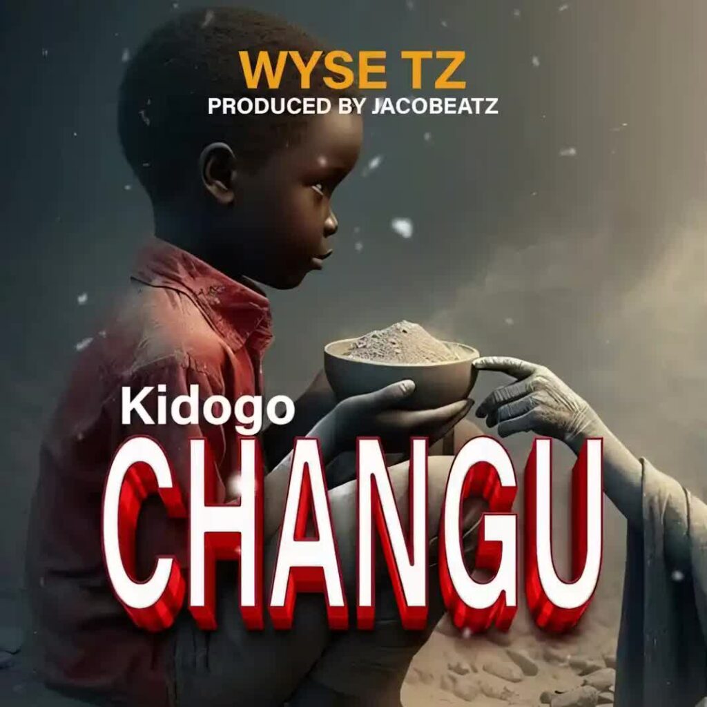 Wyse Tz - Kidogo Changu