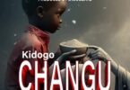 Wyse Tz - Kidogo Changu