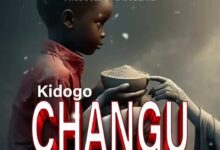 Wyse Tz - Kidogo Changu