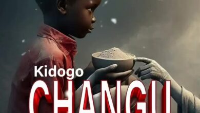 Wyse Tz - Kidogo Changu