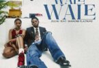 Zuchu Ft. Diamond Platnumz - Wale Wale