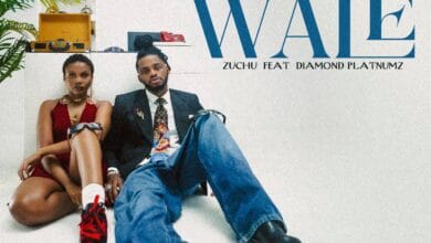 Zuchu Ft. Diamond Platnumz - Wale Wale