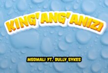 Msomali Ft. Dully Sykes - King'ang'anizi