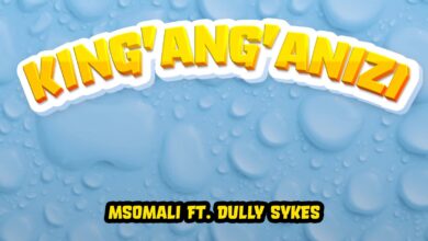 Msomali Ft. Dully Sykes - King'ang'anizi