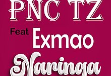 Pnc Ft. Exmao - Naringa