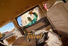 Alien Skin - Talent