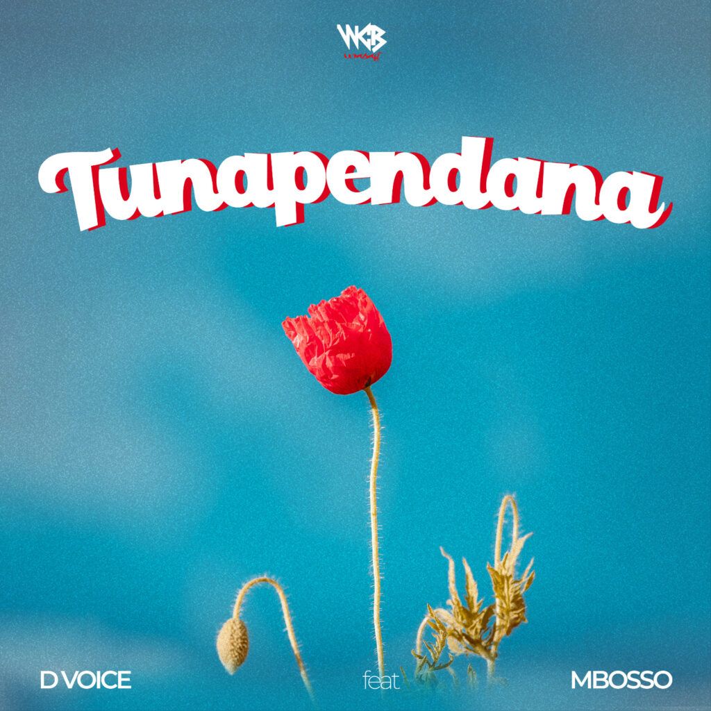 D Voice Ft Mbosso - Tunapendana