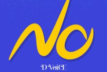 D Voice - No