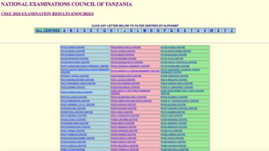 NECTA | Matokeo Kidato Cha Nne 2024/2025 Form Four Results