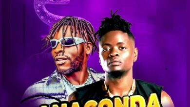 Pallaso Ft. Gladiator - Anaconda