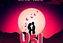 Udede - Usiniache