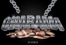 D Voice - Gharama