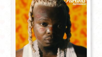 Harmonize - Furaha