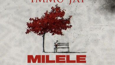 Immu Jay - Milele