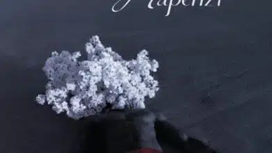 Jaivah Ft. Cloudy Sa, Kapipo Beats - Naogopa Mapenzi