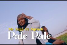 Mr Zuga Ft Syrock - Pale Pale