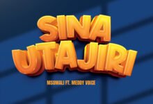 Msomali ft. Meddy Voice - Sina Utajiri