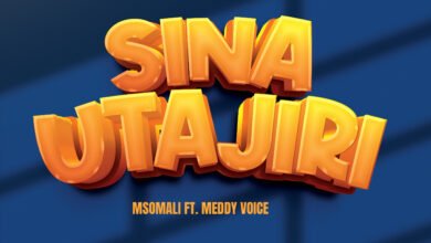 Msomali ft. Meddy Voice - Sina Utajiri