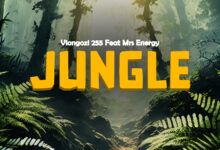 Viongozi 255 Ft. Mrs Energy - Jungle