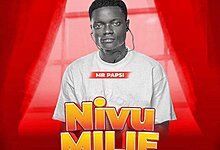 Mr Papsi - Nivumilie