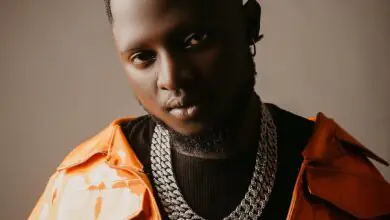 Bruce Africa - Pamela ft. Karole Kasita