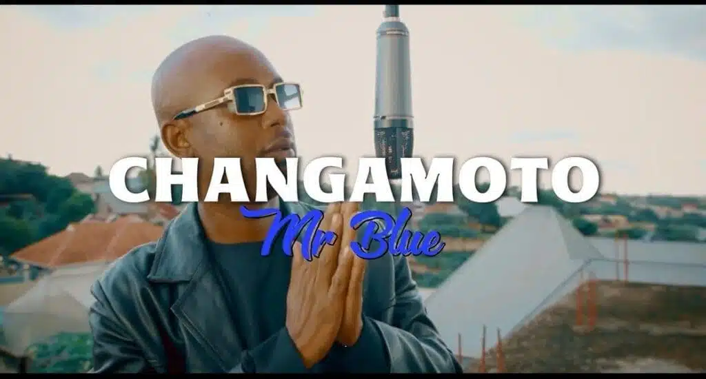 Mr Blue - Changamoto