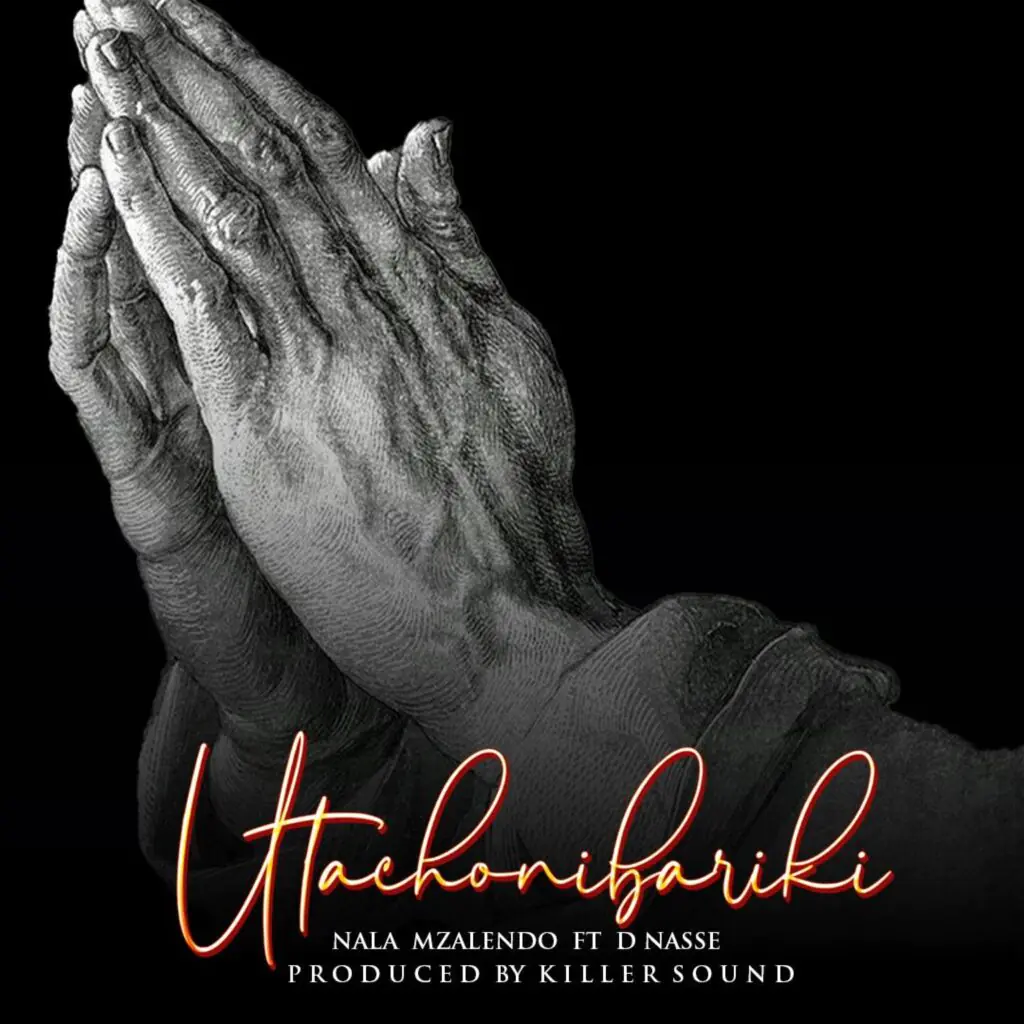 Nala Mzalendo ft. D Nasse - Utachonibariki Nala Mzalendo ft. D Nasse - Utachonibariki