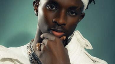 D Voice ft Zuchu - Baby Mpya
