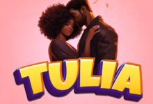 Moni B ft Eriko Tz - Tulia