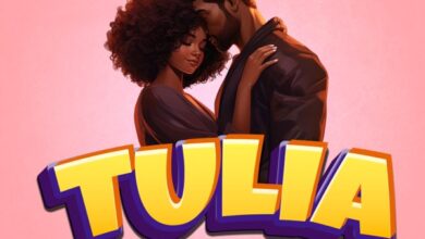 Moni B ft Eriko Tz - Tulia