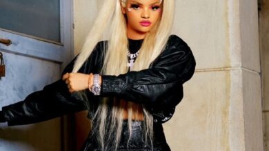 Barbie Mia - Shake It