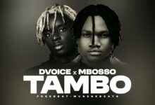 D Voice ft Mbosso - Tambo