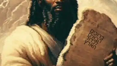 Dizasta Vina - Karibu Duniani