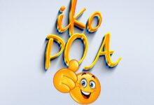 Dj Robby Fighter Ft. MC Shallo - IKO POA