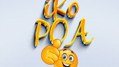 Dj Robby Fighter Ft. MC Shallo - IKO POA